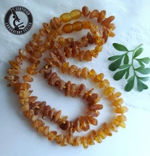 Raw Honey Lithuanian Baltic Amber Necklace 🐝 11.5" 🐝 Lab Certified