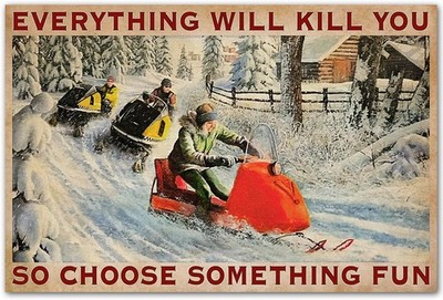 Snowmobile Race Poster Tin Metal Signs Home Décor, Everything Will Kill You, So 