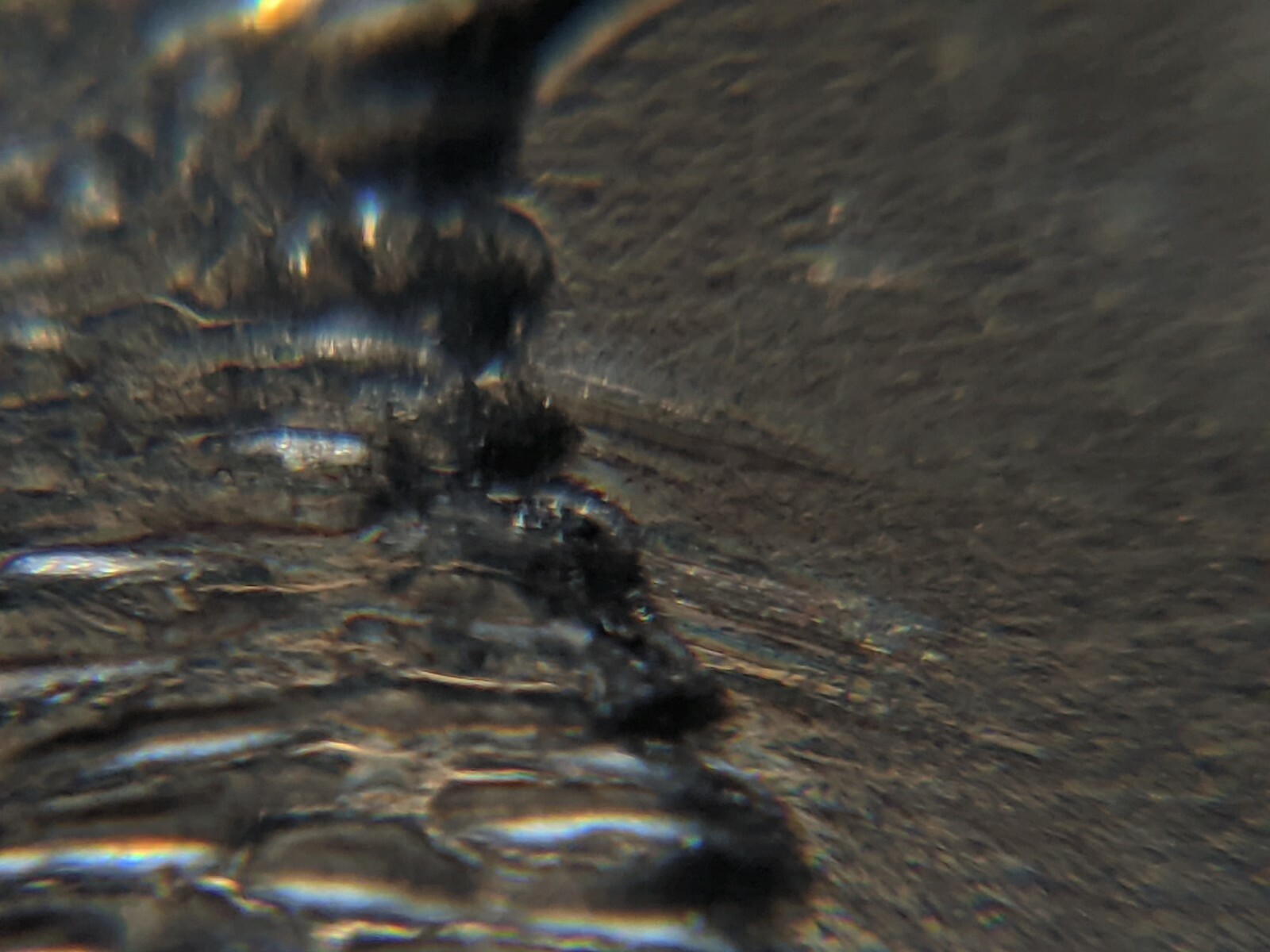 Picture 6 of 9