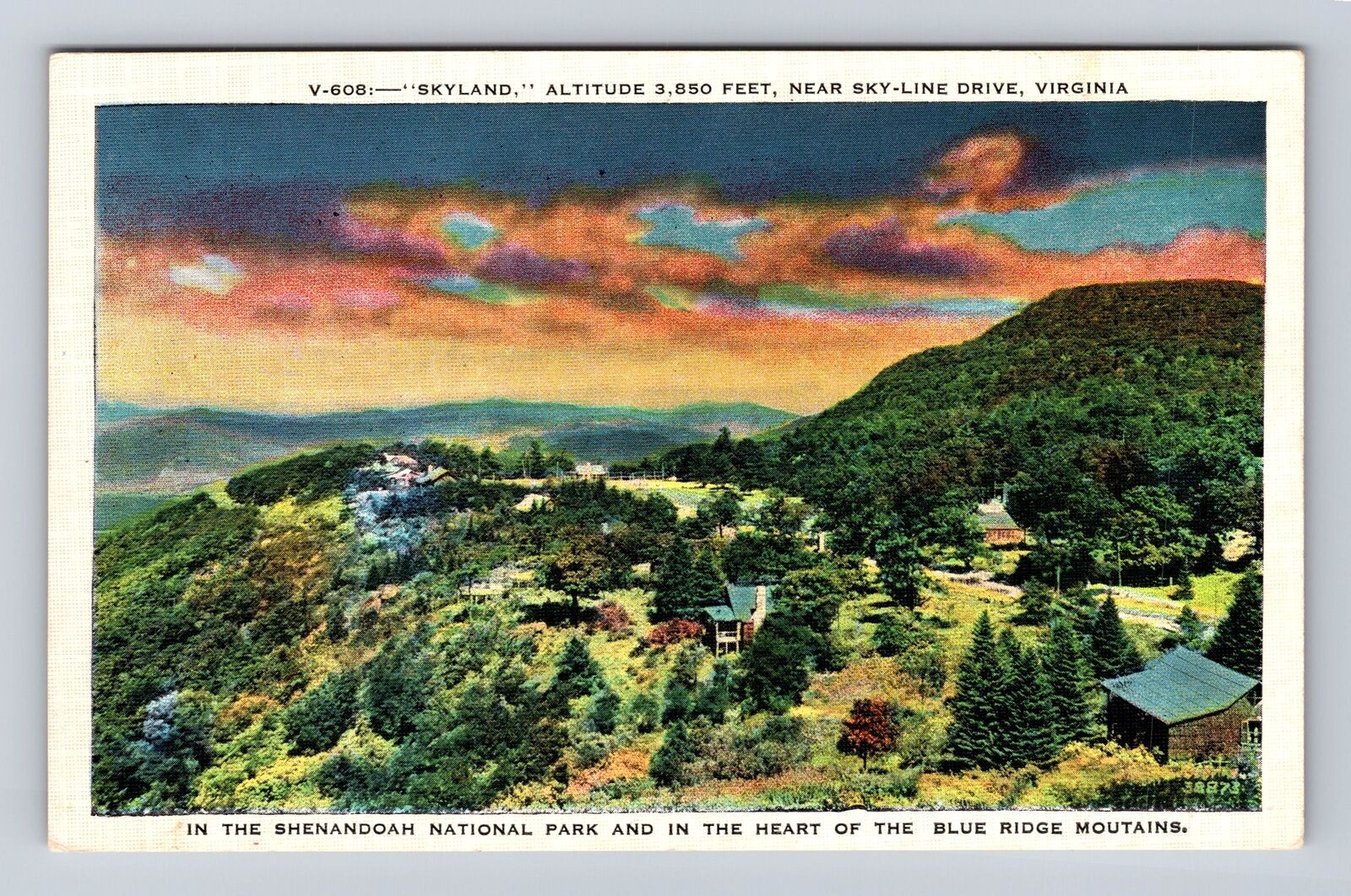 Shenandoah National Park Skyland, Near Sky-Line Drive, Antique Vintage Postcard