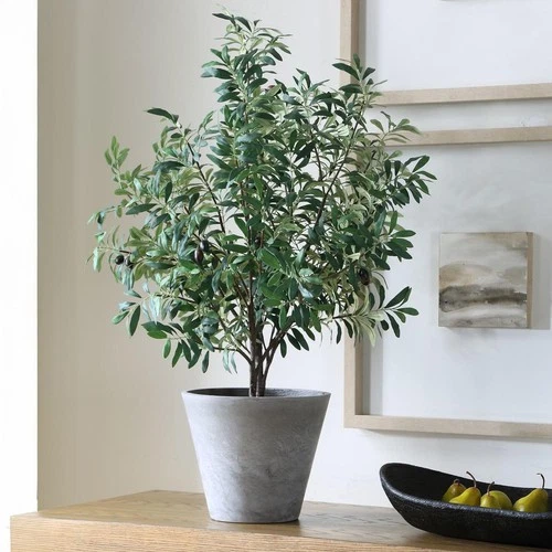 Uttermost 60268 Marisol Stone Gray and Green Potted Olive Plant - Picture 7 of 8
