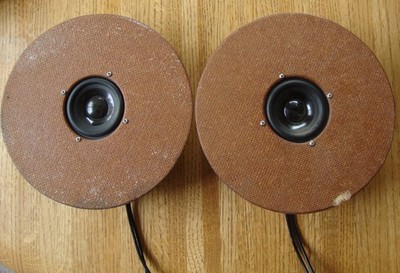 Fountek FR89EX Full Range Speakers