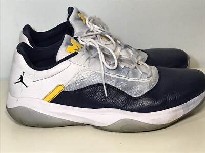 michigan jordan 11s
