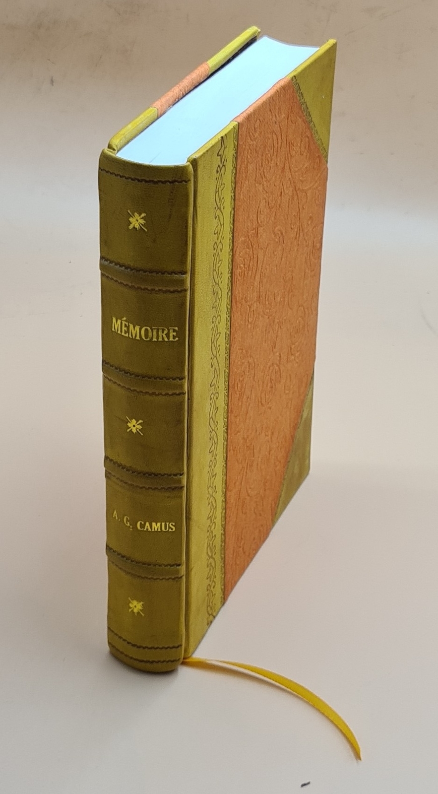 Antique Leather-Bound Bry Grands Et Petits Voyages Collection