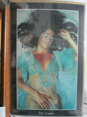 WET DREAM VINTAGE POSTER BAR GARAGE MAN CAVE 1977 HOT GIRL RISQUE CNG327