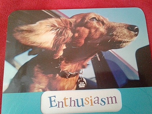 GRADUATION CARD~ LABRADOR DOG'S HEAD STICKING OUT THE CAR WINDOW ! RETAILS $4.59 - Picture 2 of 4