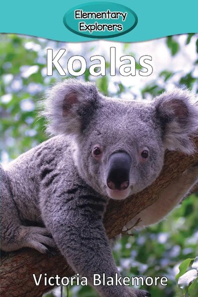 Koalas Victoria Blakemore Taschenbuch Kartoniert / Broschiert Englisch 2017-image