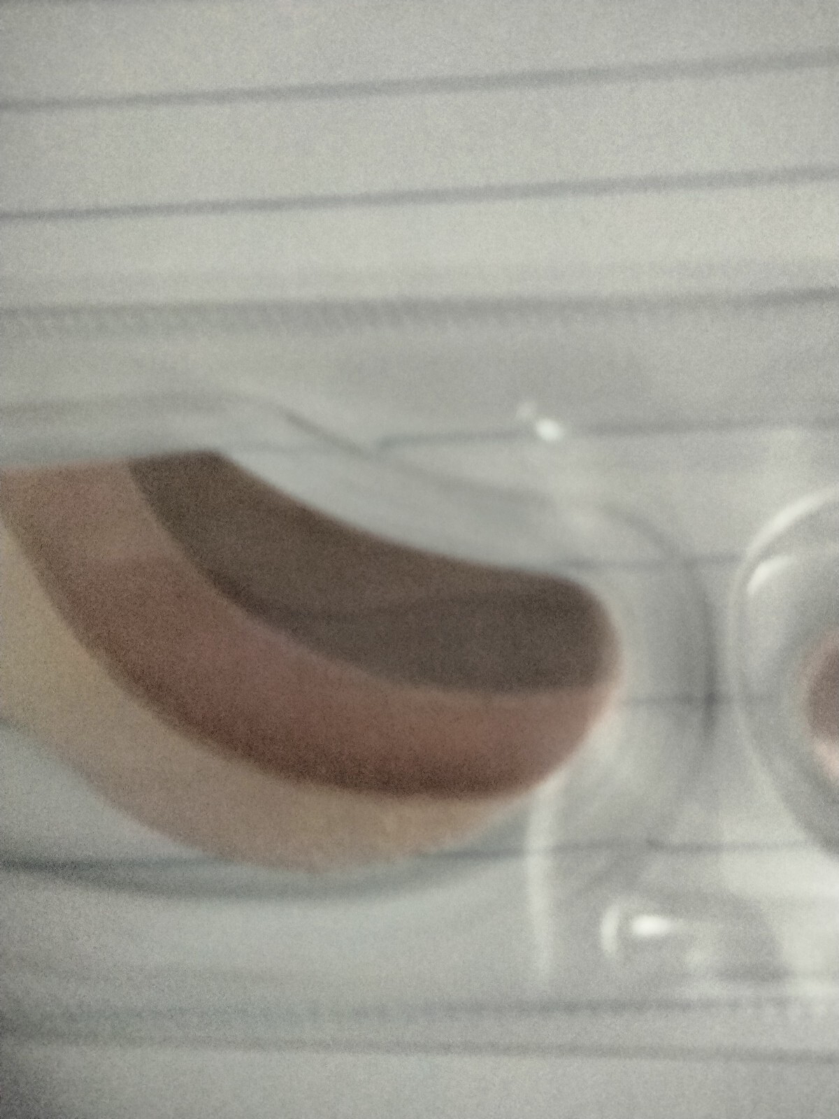 Picture 8 of 8
