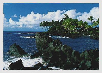 Maui's Rocky Shoreline Hawaii HI Impact John Wagner 1984 Postcard