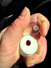 Gem Shepherd LLC Garnet 2.45 cts Red Oval Cut...
