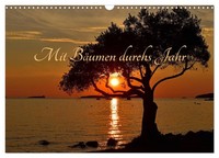"Calendar 2027 · US Version · With Trees Through The Year (Wall Calendar 2027 17\""