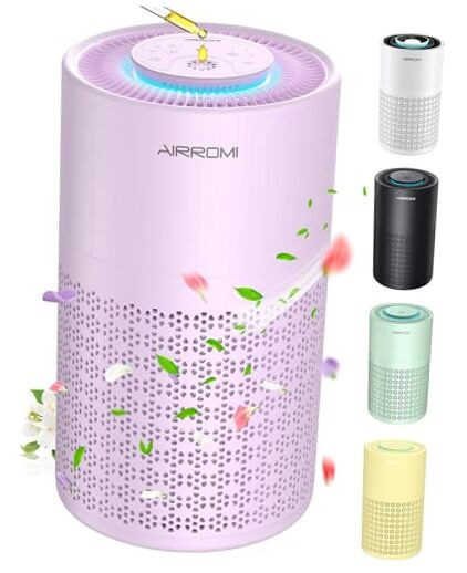 Air Purifier for Bedroom with HEPA 3-in-1 Filter, Pet Air Purifier for Home