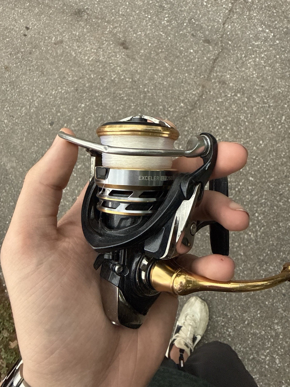Daiwa Exceler LT 2500-XH Spinning Reel 2500 Front Drag Pre-Spooled B/G/S
