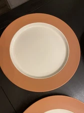 Williams Sonoma WSO23 11” Tucson Rimmed Dinner Plate Never Used