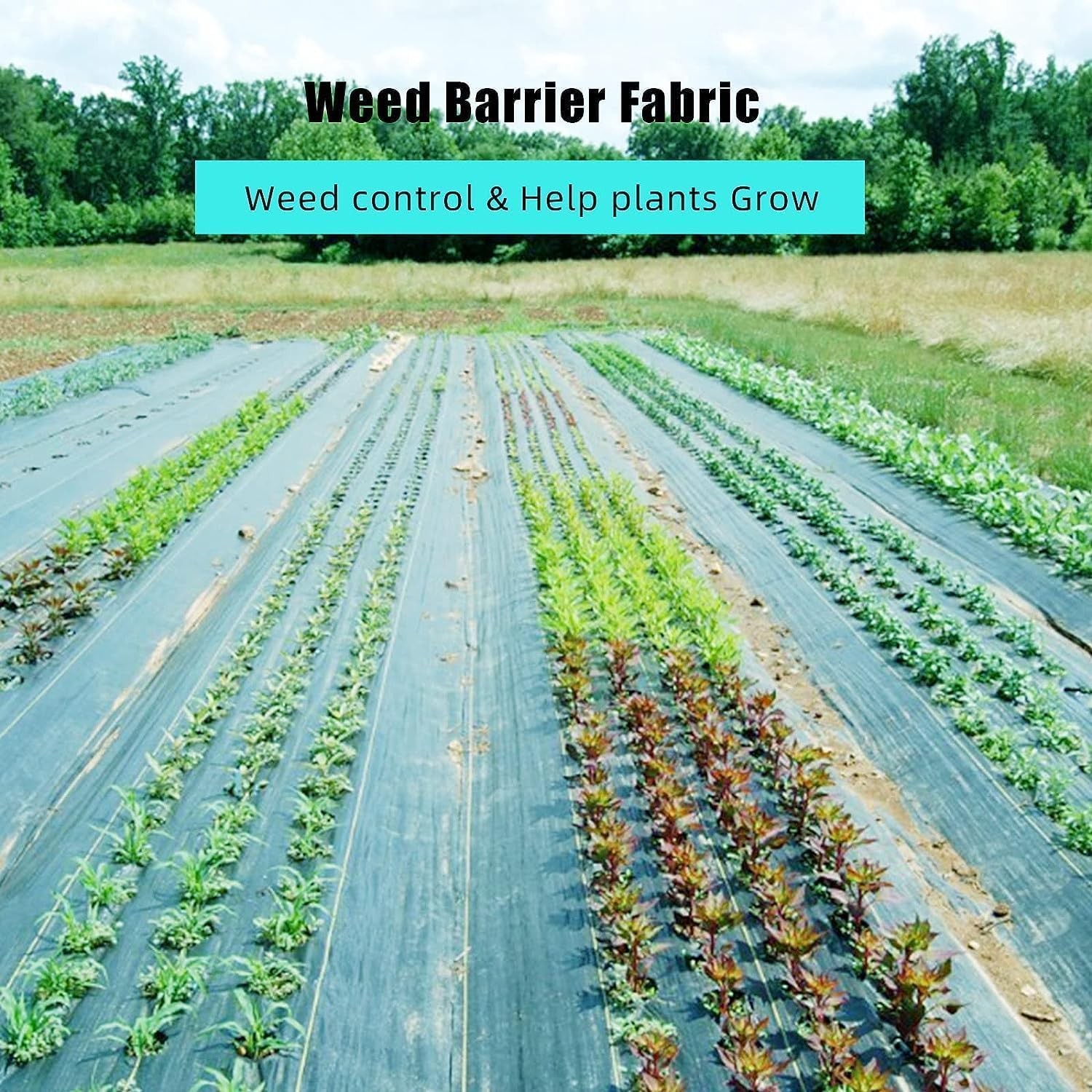 Heavy Duty Landscape Weed Barrier Fabric 6.5 x 330ft 3.2oz Woven PP Ground Cover