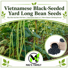 Vietnamese Black-Seeded Yard Long Bean Seeds   u   a H  t  en