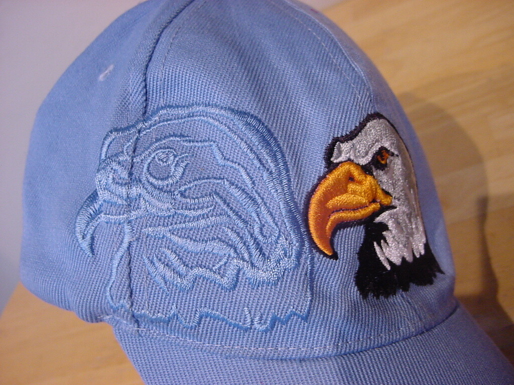 AMERICAN EAGLE USA ADJUSTABLE HAT - image 3