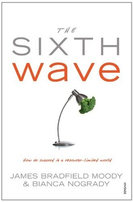 The Sixth Wave: How to Succeed in a Resource-Limited World,James