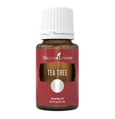 Teebaum Öl Tea Tree Öl 15 ml Young Living neu