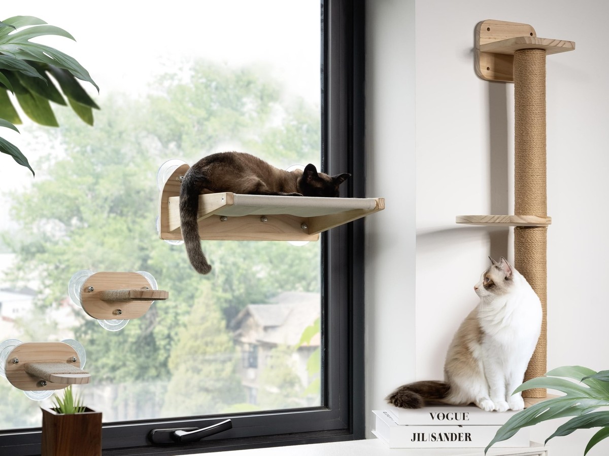 Cat Window Perch and Cat Wall Shelves in 1,Cat Hammock,Steps and