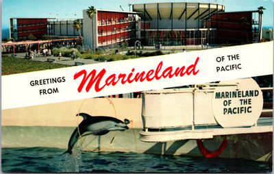 Postcard Greetings From Marineland of the Pacific Palos Verdes Peninsula CA