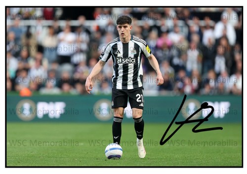 11688. Tino Livramento Signed Pictures (A4 Prints) Newcastle Southampton etc.