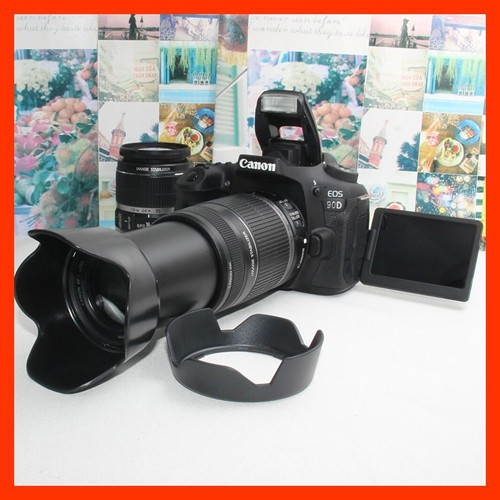 Includes spare batteryCanon EOS 90D with image stabilization and dual