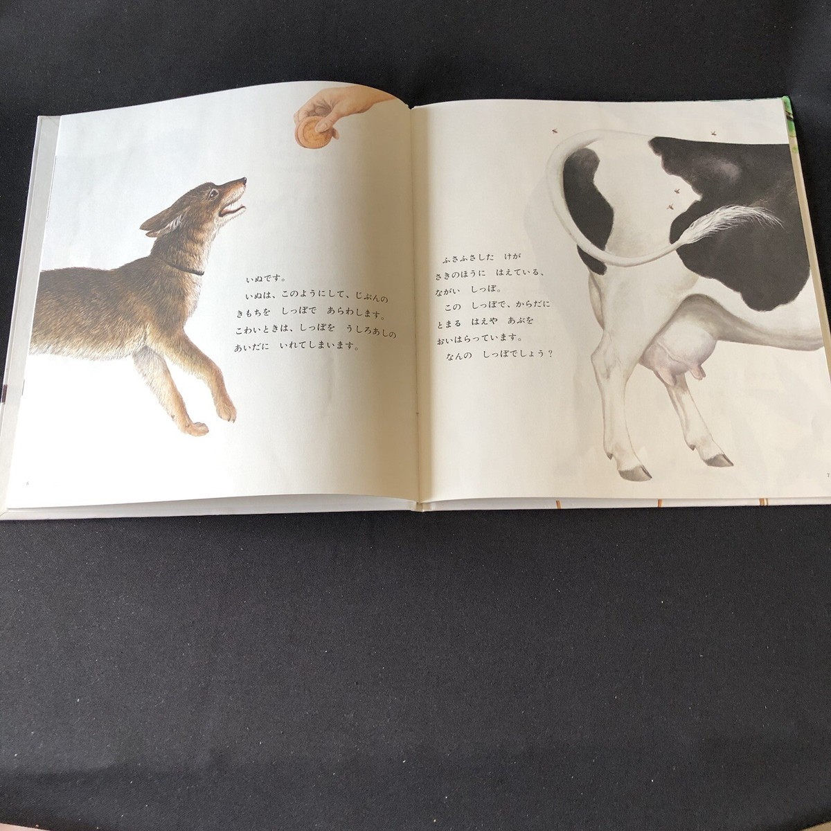 ボクものがたり CD Yukiko Matsuda　＆　絵本 Amazon.co.jp: ボクものがたり : いもとようこ, いもとようこ