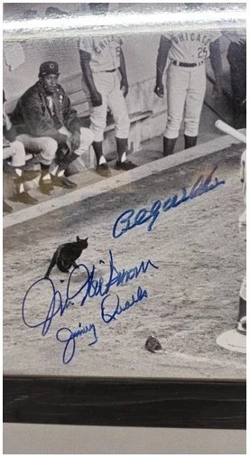 Foto de béisbol enmarcada en blanco y negro - firmada Boog Powell, Gaspar y otros, certificado de autenticidad Foto 3 de 4
