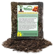 Moro Blood Orange Tree Growing Soil Mix – Custom Soil