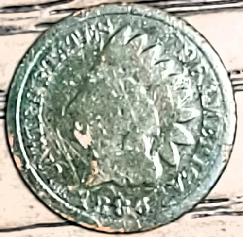 1886 1C BN INDIAN HEAD CENT IN GOOD CONDITION-TYPE 2