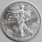 2013 American Silver Eagle (BU) in a Capsule - PRISTINE & AUTHENTIC!