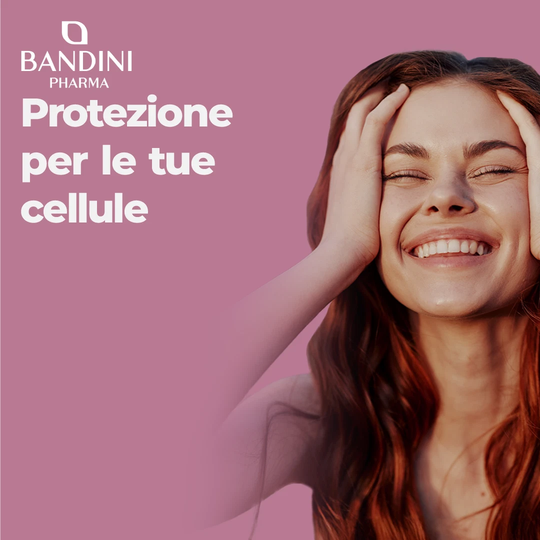 Foto 2 di 6