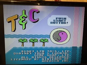 Town & Country Surf Designs: Wood & Water Rage, Nintendo NES, Tested
