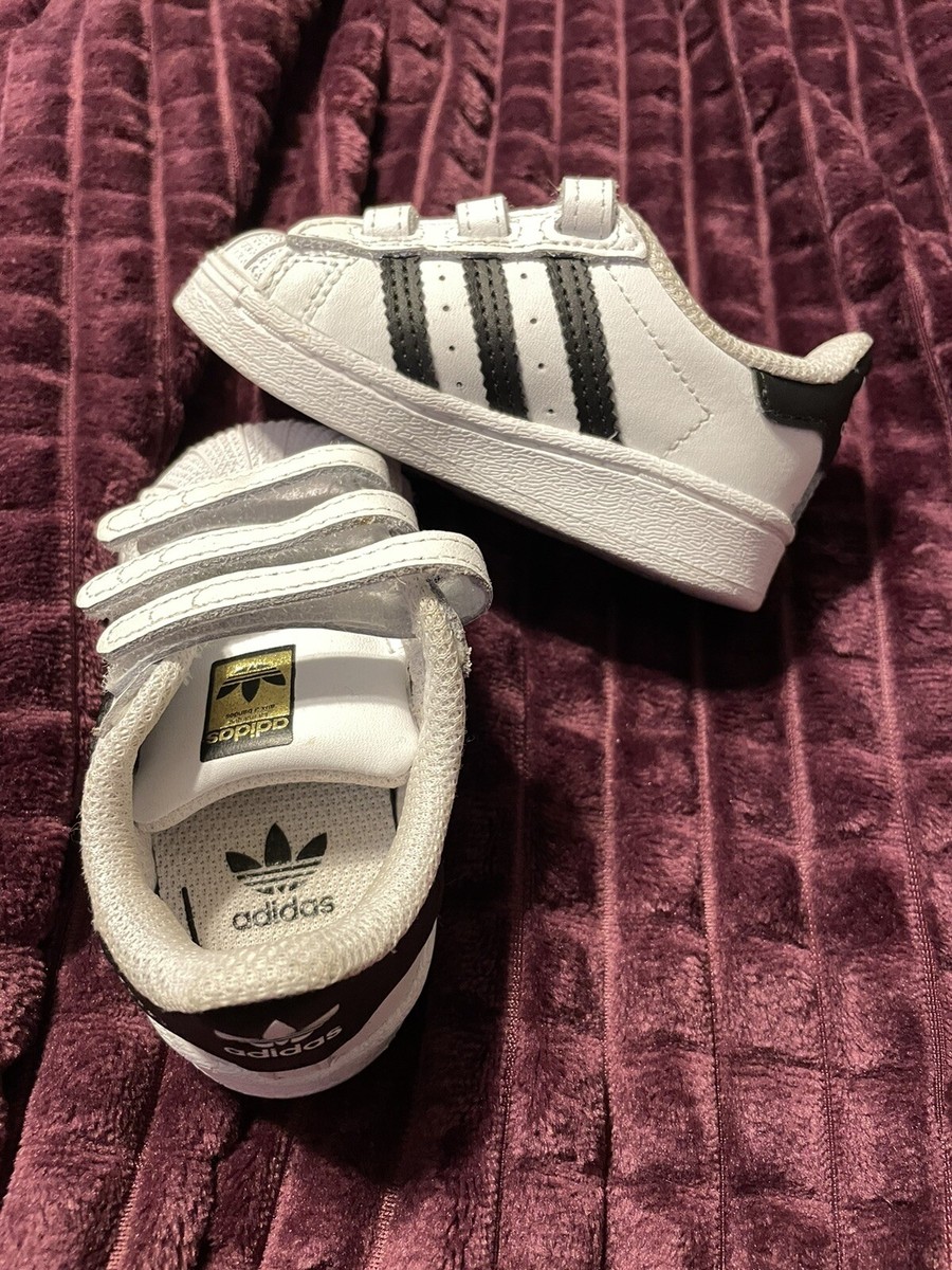 infant adidas shell toe shoes