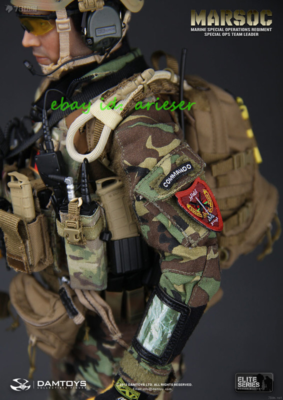 Perfect Dam 1/6 78006 Elite Series MARSOC Action Figure In Stock