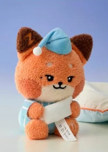 ZB1 ZEROBASEONE ZERONI message Medium doll LINEFRIENDS official - Picture 20 of 25