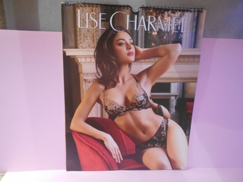 Grand Calendrier Lise Charmel 2023 Neuf EBay