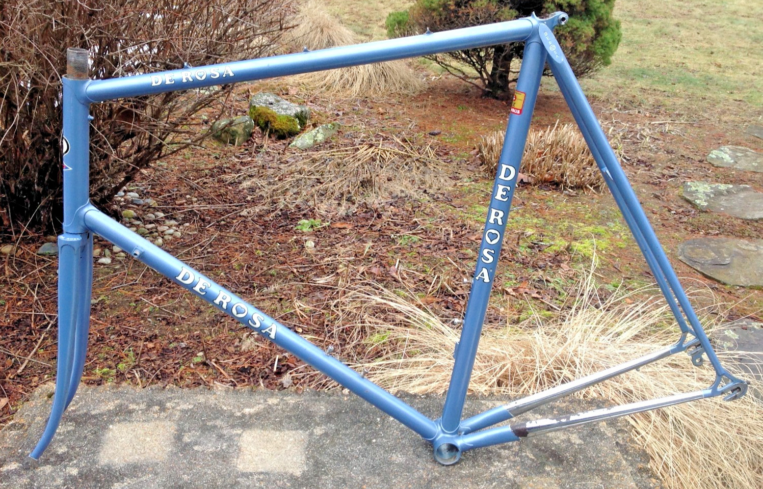 Vintage De Rosa SLX early 80's Frame and Fork