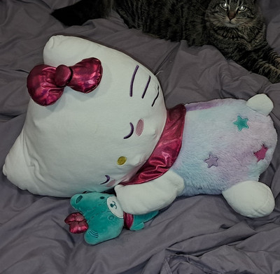Hello Kitty Cat Plush Stuffed Animal w/ Bow Scarf & Small Teddy Bear White/Pink