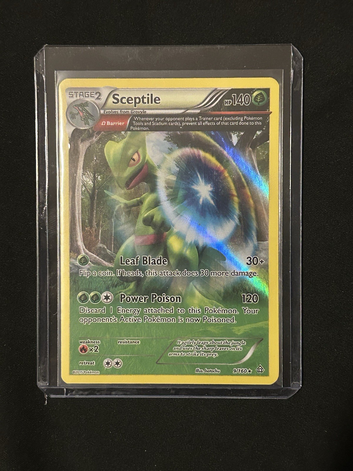 Pokémon TCG Sceptile Primal Clash 9/160 Regular Holo Rare