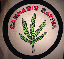 CANNABIS SATIVA VINTAGE 1970's IRON ON TRANSFER WEED 420 -NICE, B-11