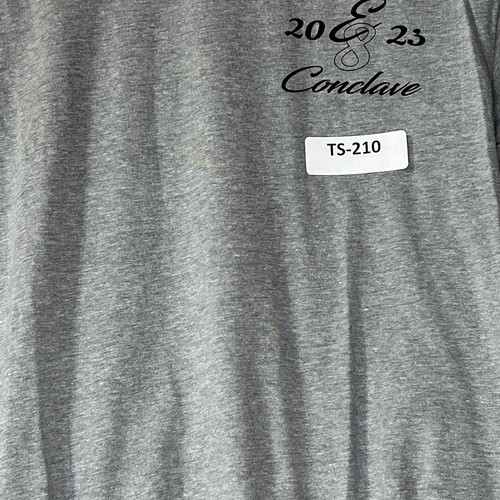 T-shirt BSA grigia manica corta 2023 cardinale conclave adulto piccola TS-210 - Foto 6 di 6