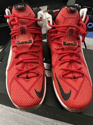 Size 11.5 - Nike LeBron 12 Heart Of A Lion 2014 | eBay