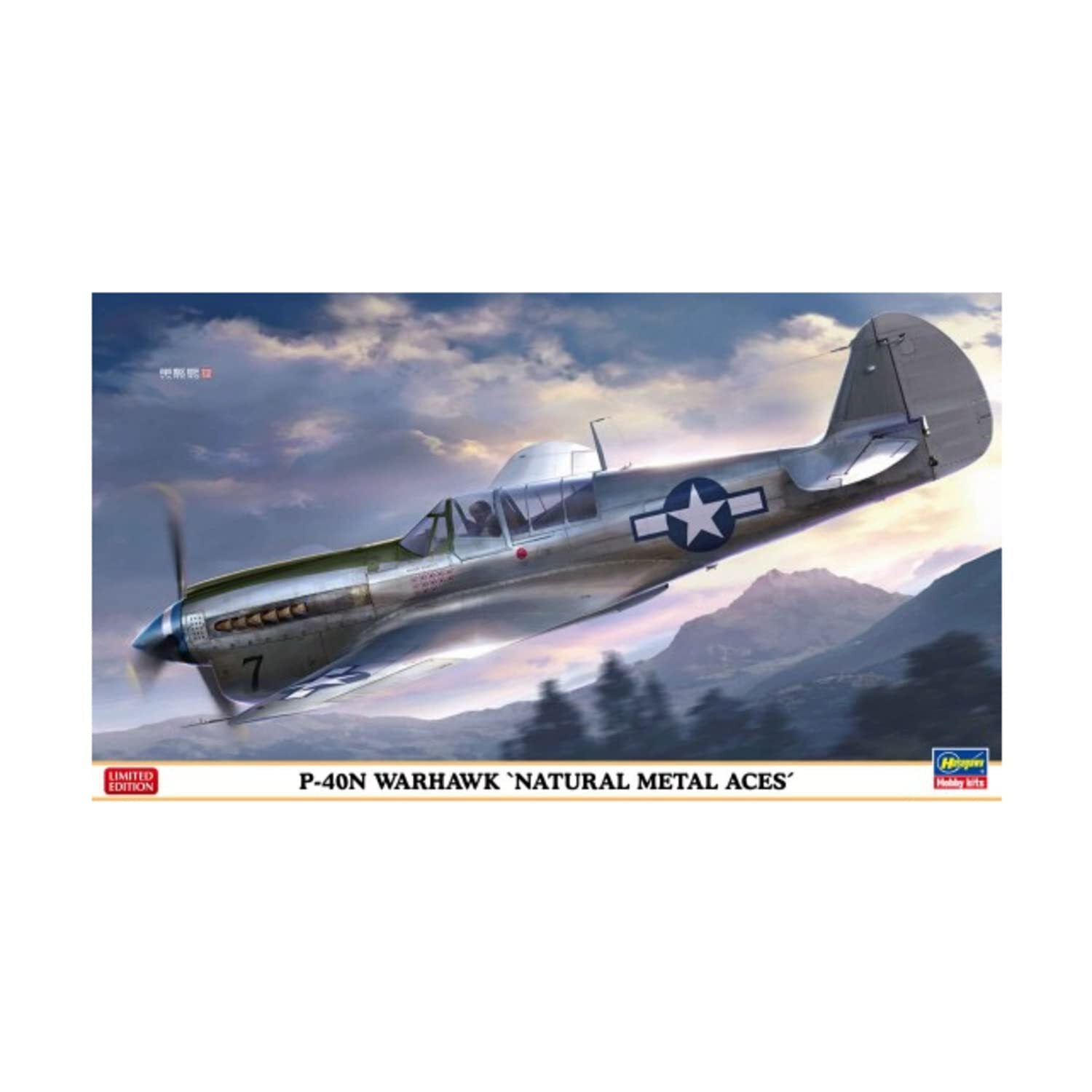 P-40n Warhawk Natural Metal Aces 1:48 Plastic Model Kit HASEGAWA