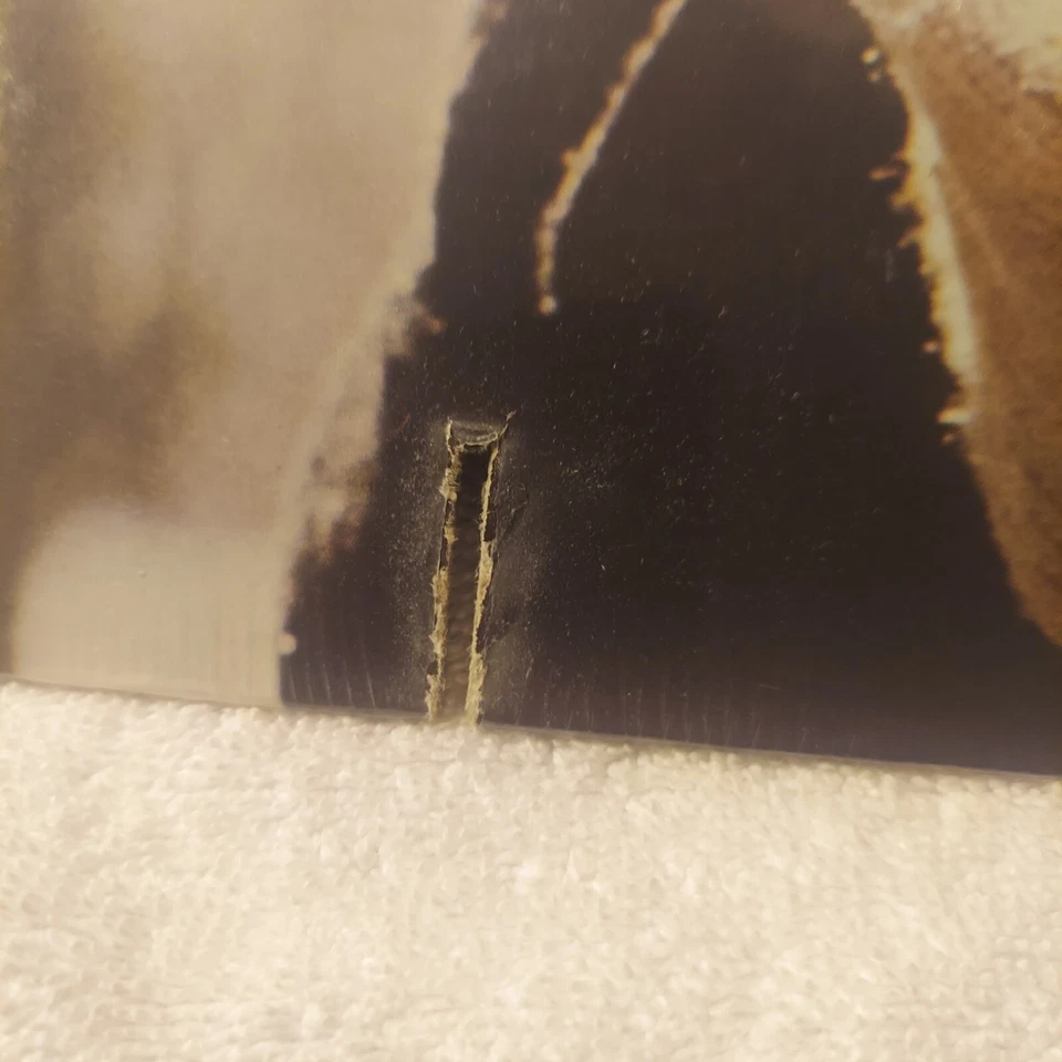 Ray Stevens/Just For The Record/1976/Vinyl, LP🔥NEW🔥MINT🔥SEALED🔥FREE SHIP🔥 - Image 4 of 4