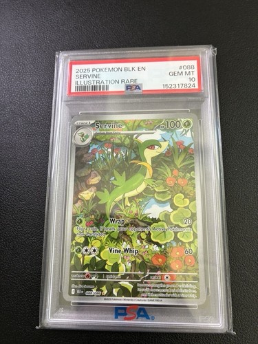 2025 POKEMON BLK EN-BLACK BOLT ILLUSTRATION RARE #088 SERVINE PSA 10