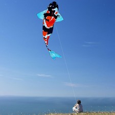 Grand cerf-volant en forme de carpe koï, manche à air suspendue en forme de