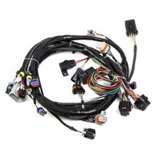 Holley 558-102 Ls1 Main Harness For Hp Efi Dominator Efi
