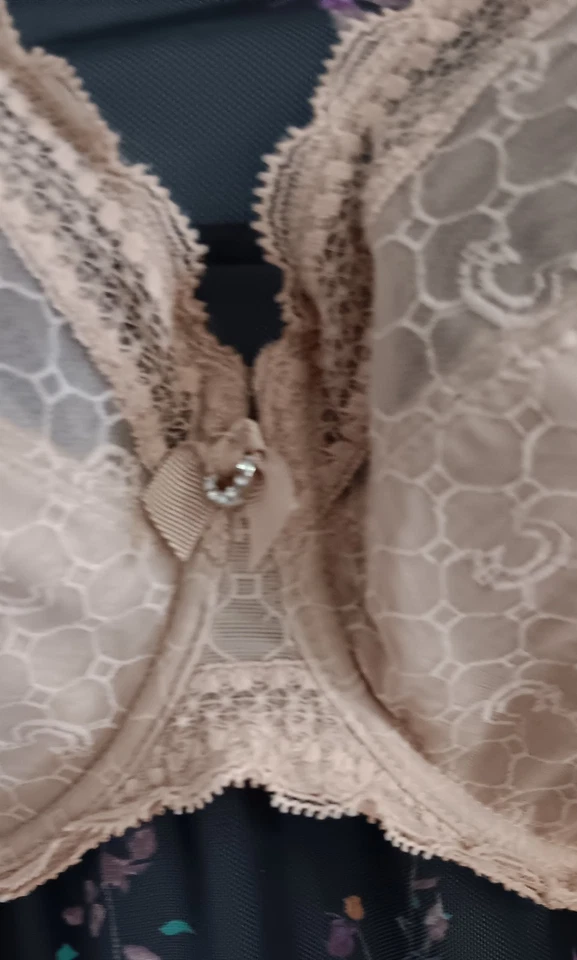 Sujetador de copa de 3 piezas con aros sin relleno de encaje beige oscuro con encaje EE. UU. 38DDD/38G/38F Foto 2 de 4